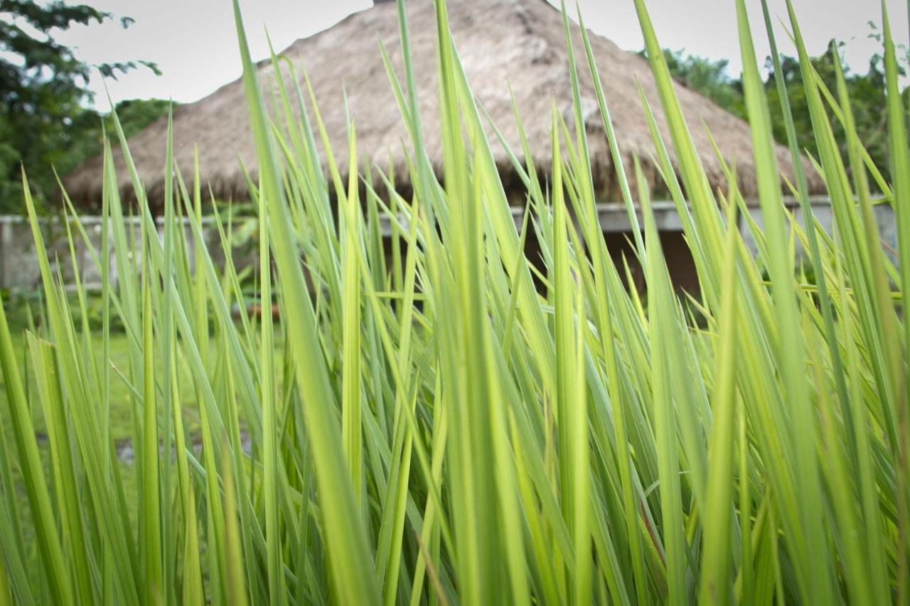Calvary Home Mae Rim Luaran gambar
